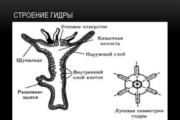 Kraken ссылка tor официальный сайт