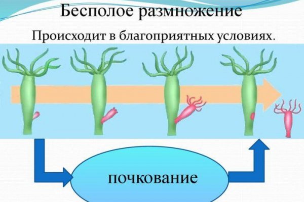 Как пополнить биткоин с карты на mega