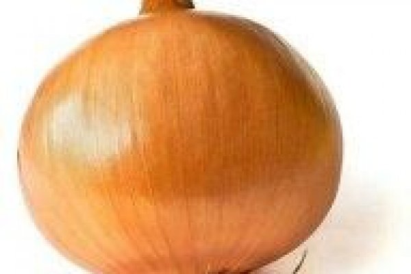 Gidra BlackSprutruzxpnew4af onion